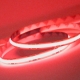 5m RGB Single-Color COB LED Strip Light | Professional COB LED Strip Light | 544 LEDs p/m | 24V | IP20