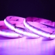 5m RGB+CCT COB LED Strip Light - COB Series LED Tape Light - IP20 - 24V