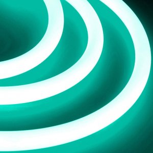 RGB Neon LED Strip Lights - Decor LED Neon Flex 360 Bend - IP65 - 24V - 25x25mm - 5m
