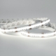 5m RGB+White COB LED Strip Light - COB Series LED Tape Light - IP20 - 24V - RGB+Cool White / RGB+Natural White / RGB+Warm White