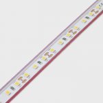 5m White LED Strip Light - HighLight Series Tape Light - 12V / 24V - IP67 Waterproof