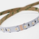 5m RGBW LED Strip Light - 4-in-1 Chip 5050 Color-Changing LED Tape Light - 12V / 24V - IP20
