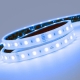 Professional LED Strip Light | 60 LEDs p/m | 12V / 24V | IP67 | 19.2Wp/m | RGB+W | 5M Reel