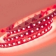 5m RGB High Density LED Strip Light - Color-Changing LED Tape Light - 24V - IP20 - RGB - 196.9in (16.40ft)